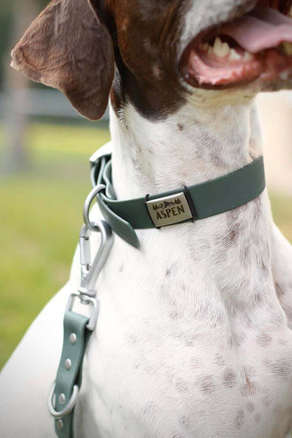 Waterproof Dog Collar